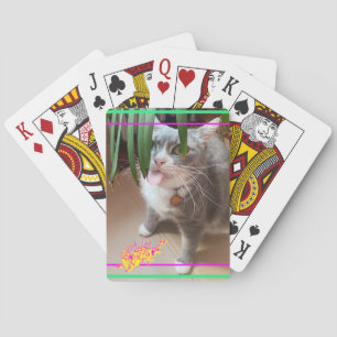 Dolly Faces ~ CARTAS DE JUEGO