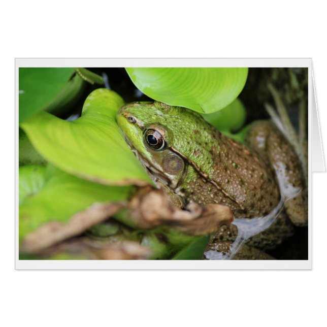 Dolor de niebla - Pin (Anverso (Horizontal))