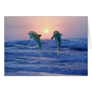 Dolphin botellano al amanecer