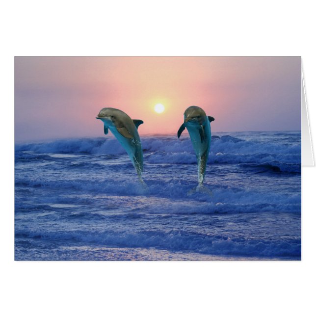 Dolphin botellano al amanecer (Anverso (Horizontal))