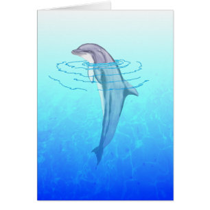 Dolphin Bottlenose