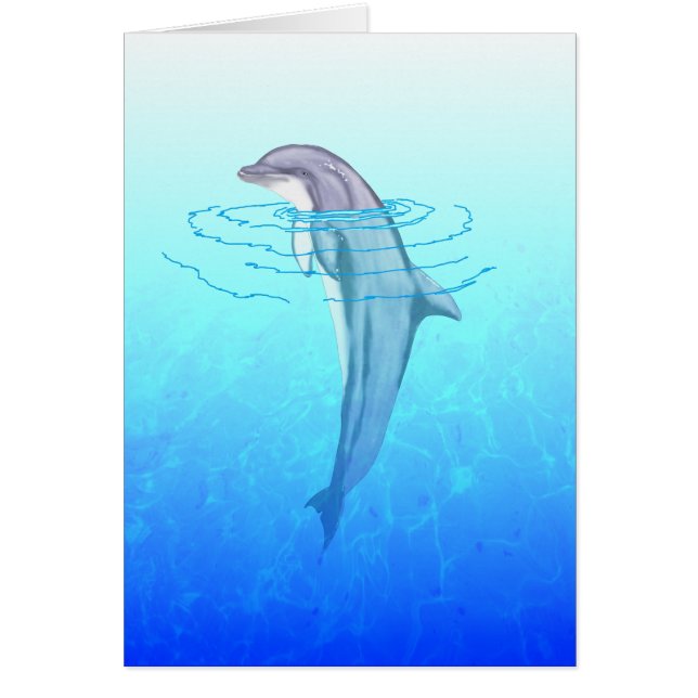 Dolphin Bottlenose (Frente)