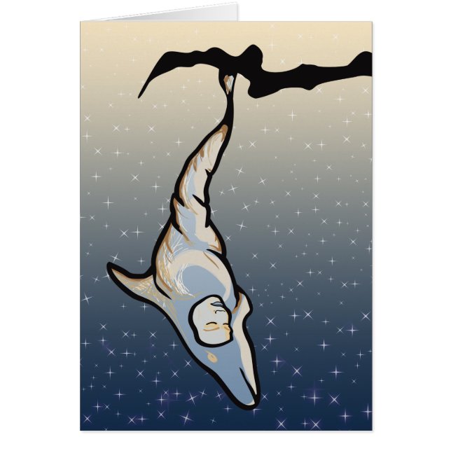 dolphin cocoon (Frente)