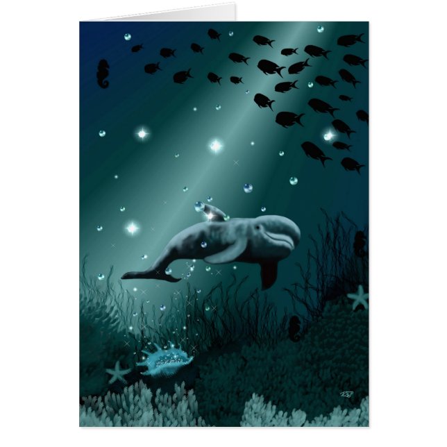 Dolphin Dream (Frente)