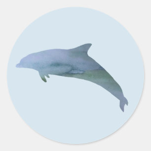 Dolphin Painting Ocean Fiesta Gracias Pegatinas