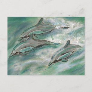 Dolphin Trio - postal