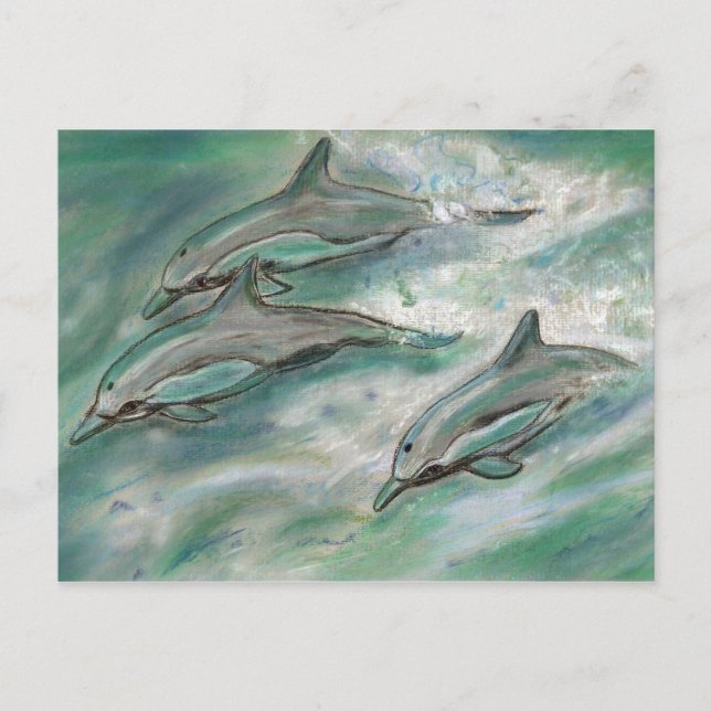 Dolphin Trio - postal (Anverso)