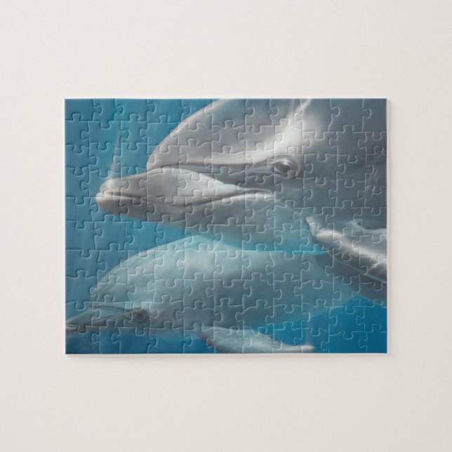 Dolphin y rompecabezas bebé (Horizontal)