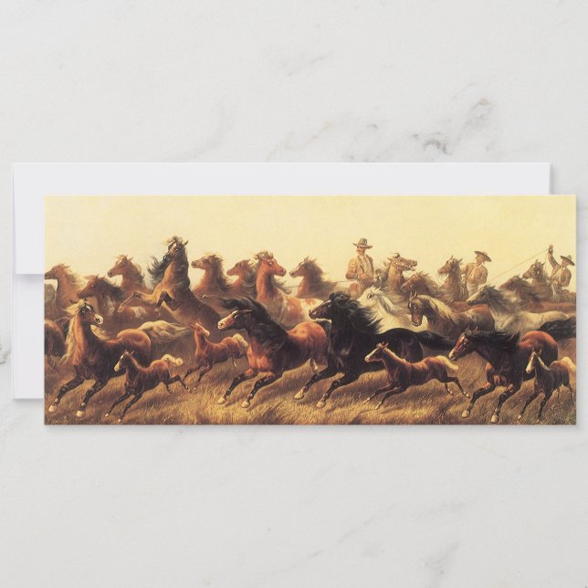 Domando caballos salvajes por James Walker (Anverso)