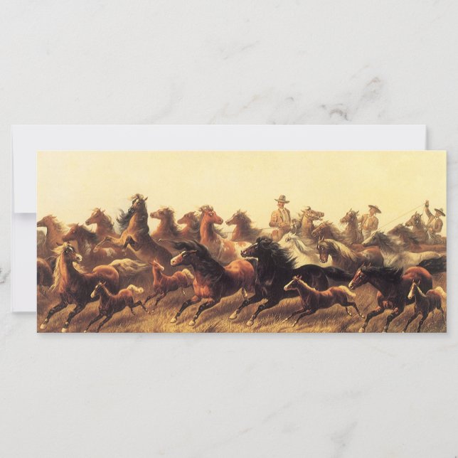 Domando Caballos Salvajes por James Walker (Anverso)