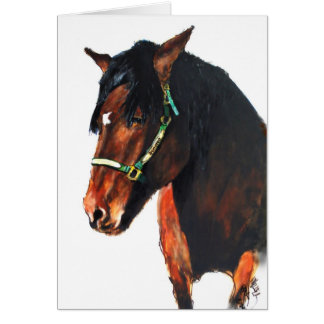 Domingo, del condado de Marin