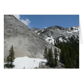 Dominios de granito nevado I en el Parque Nacional