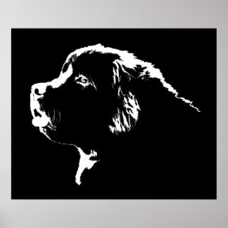 Donaciones de perros de Terranova para Posters de