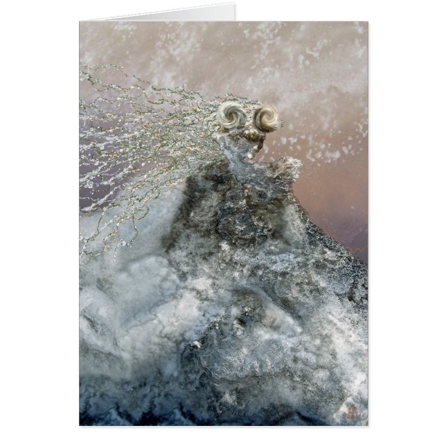 Doncella encantada del hielo (Frente)