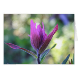 Donde el amor espera