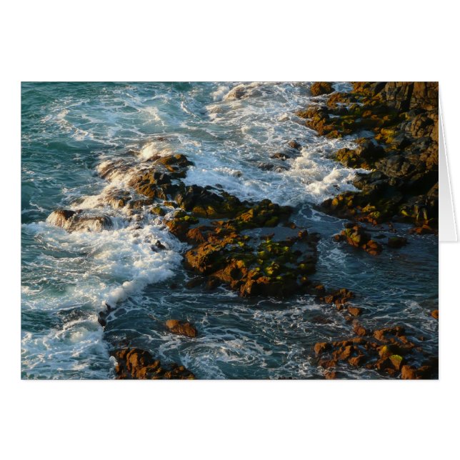 Donde el océano se encuentra con las rocas (Anverso (Horizontal))