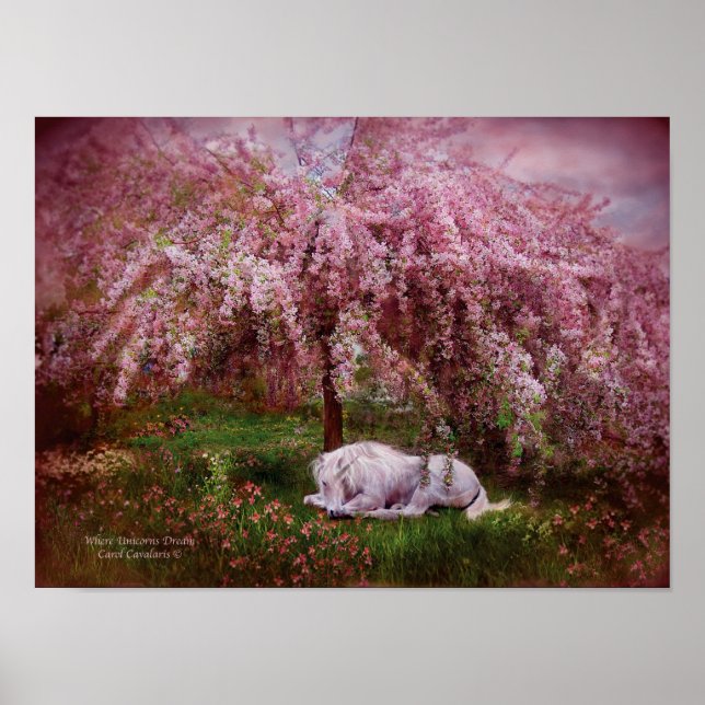 Donde el Poster/la imprenta de arte soñado de Unic (Frente)