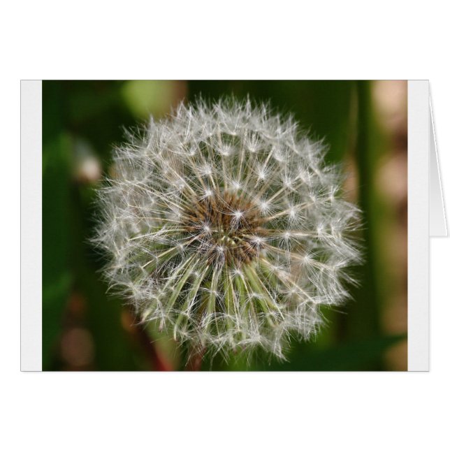 Donde el viento sopla (Anverso (Horizontal))