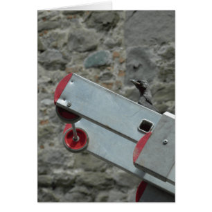 ¿Dónde está el fuego?