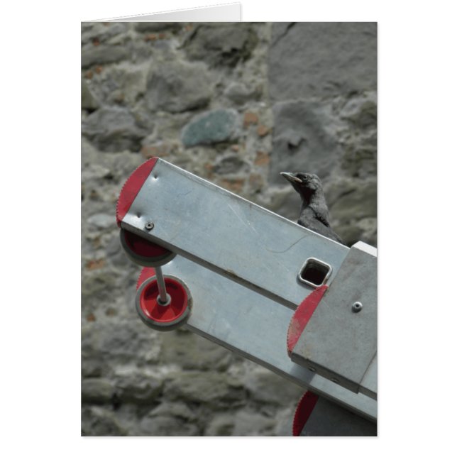 ¿Dónde está el fuego? (Frente)