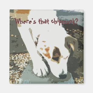 ¿Dónde está ese chipmunk? Imán