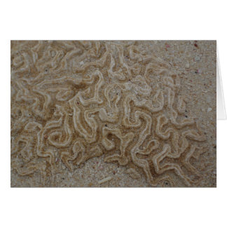 ¿Dónde está su cerebro?