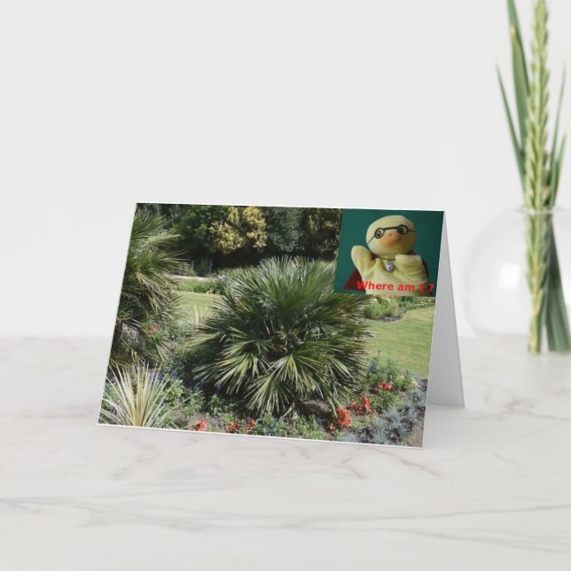 ¿Dónde estoy?  #5c Tarjeta (Anverso)