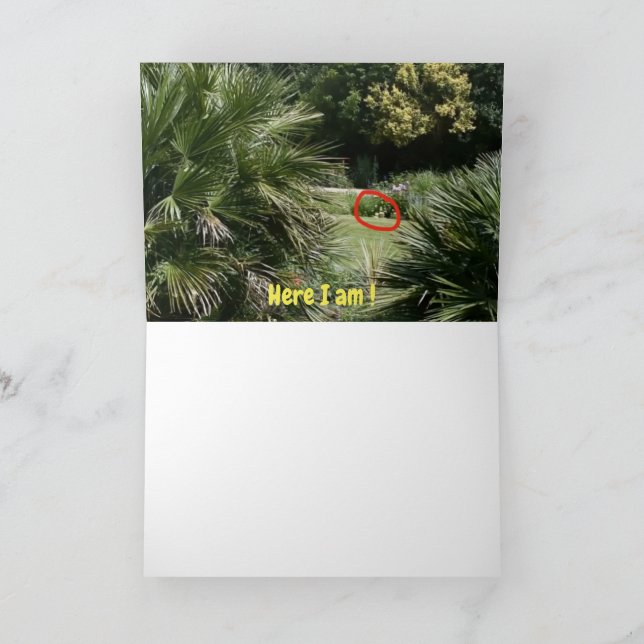 ¿Dónde estoy?  #5d Tarjeta (Interior)