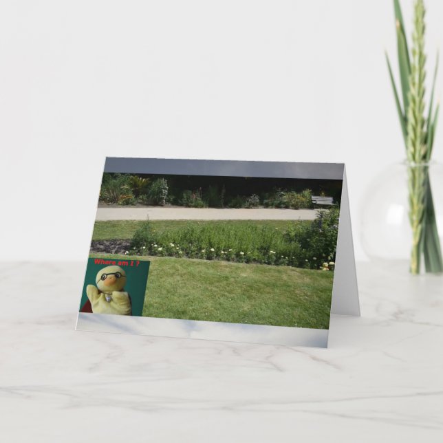 ¿Dónde estoy? Tarjeta #5b (Anverso)