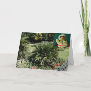 ¿Dónde estoy? Tarjeta #5c