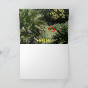 ¿Dónde estoy? Tarjeta #5d