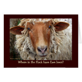 ¿Dónde ha estado Ewe en el rebaño?