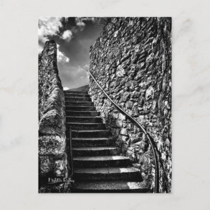 Donde sus pasos lideran la postal