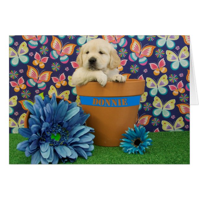 Donnie, foto de la semana 5 (Anverso (Horizontal))