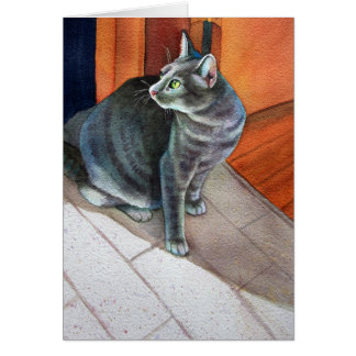 Dora, el gato gris del tabby,