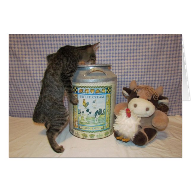 Dora - el no va más (Anverso (Horizontal))