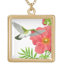 Collar Throated de rubíes del colibrí