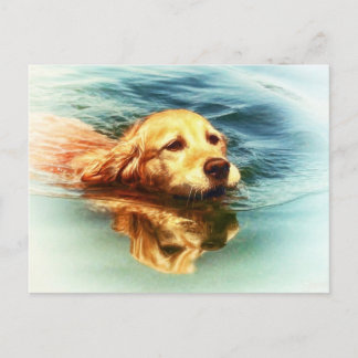 Dorado Recuperando Natación - Postal de arte de pe