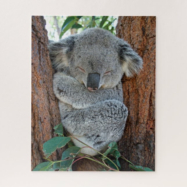 Dormido Koala, rompecabezas de Jigsaw (Vertical)