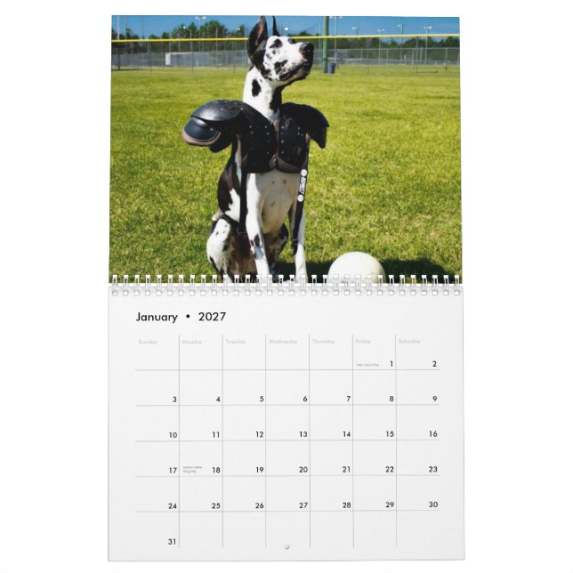 Dormilón el calendario del perro de la terapia (Jan 2027)