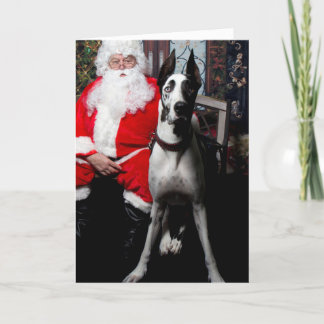 Dormilón el perro de la terapia, tarjetas de