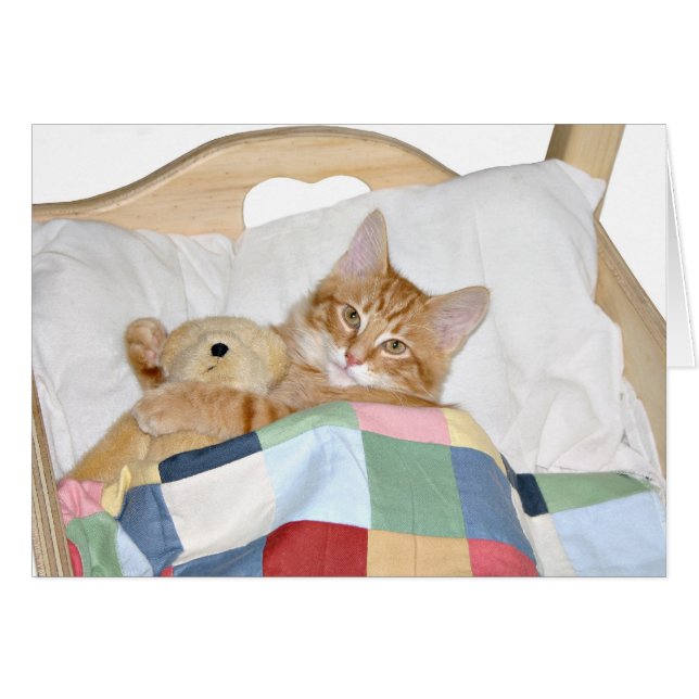 Dormitorios gitanos con oso de peluche (Anverso (Horizontal))