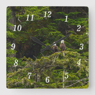 Dos águilas encaramadas en el reloj de la pared de