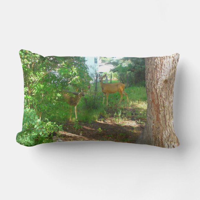 Dos almohadas de ciervo (Anverso)