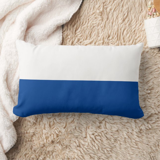 Dos almohadas lumbares de tono (Manta)