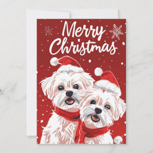 Dos Amigo Bichon Feliz Navidad