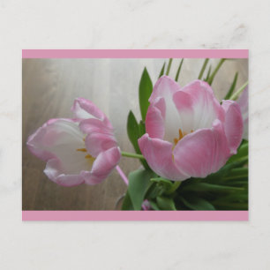 Dos bellas postales de buceo rosado para tulipanes