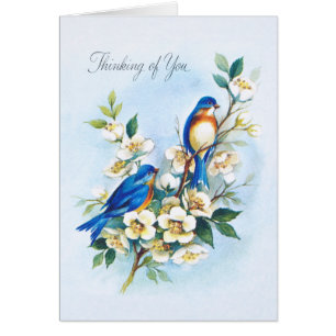 Dos Bluebirds
