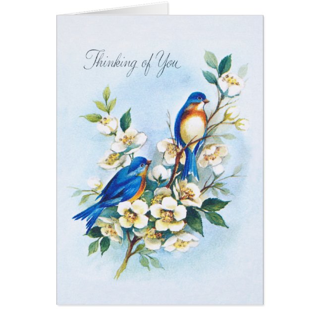 Dos Bluebirds (Frente)