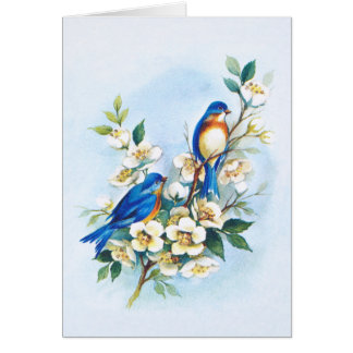 Dos Bluebirds